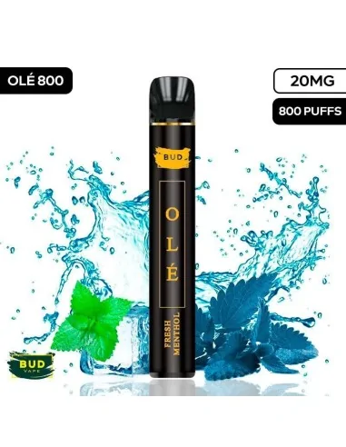 Pod Desechable 800 Caladas Vape Fresh Menthol Bud Vape Vapers Desechables